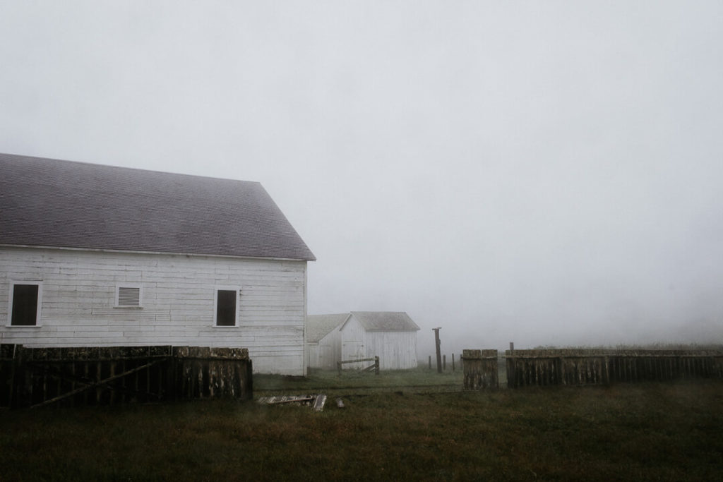 Old barn at Pierce Point Ranch point reyes