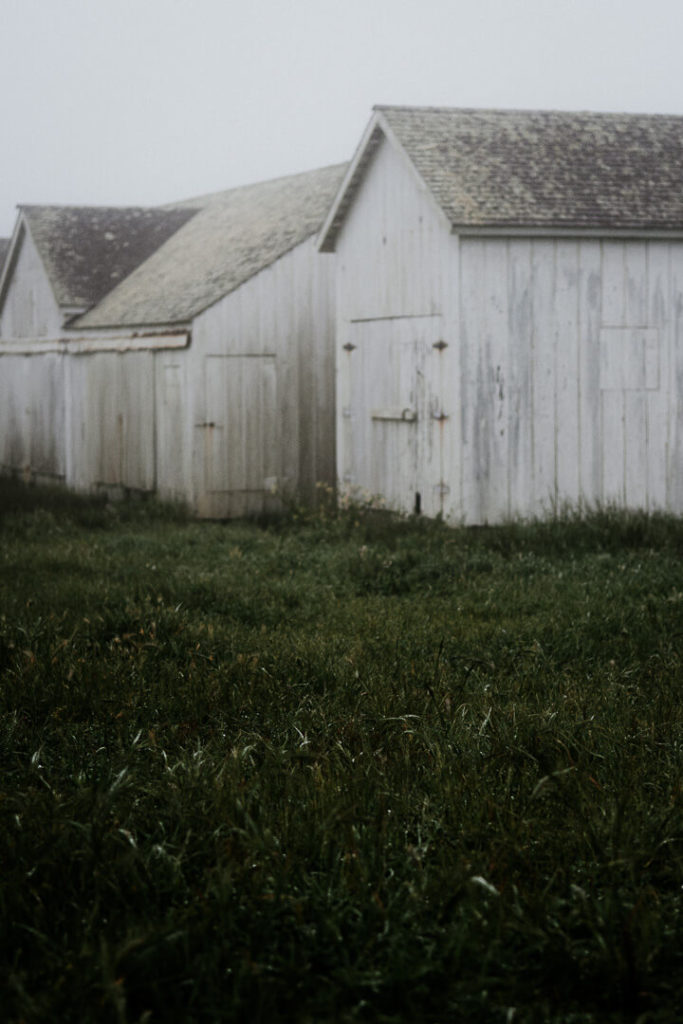 Houses at Pierce Point Ranch Point Reyes Milie Del