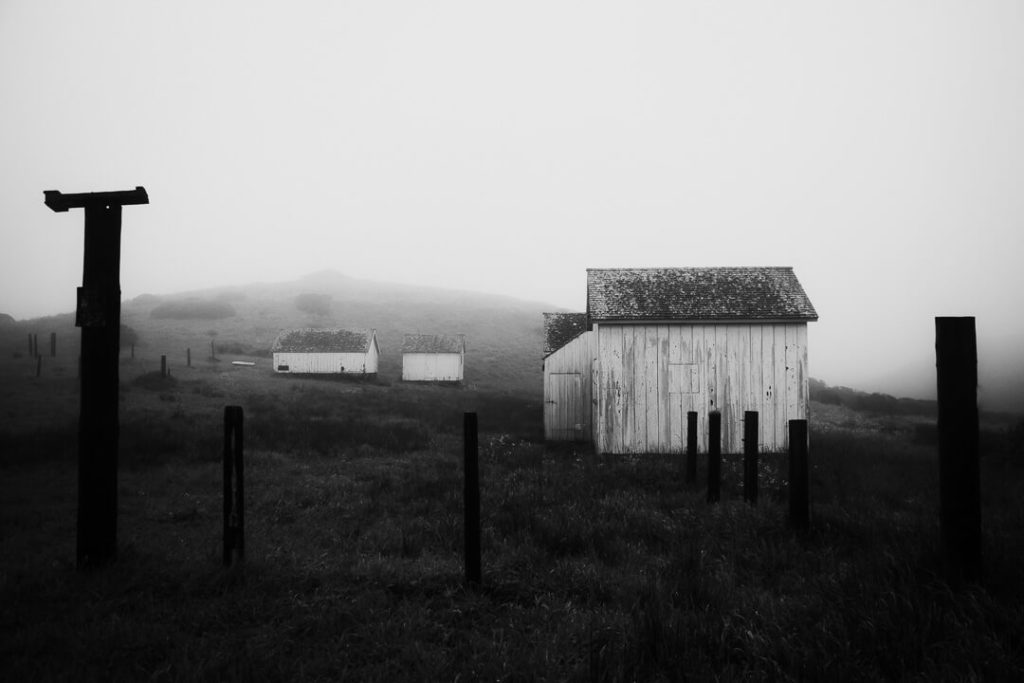 Houses in the fog at Pierce Point Ranch Point Reyes