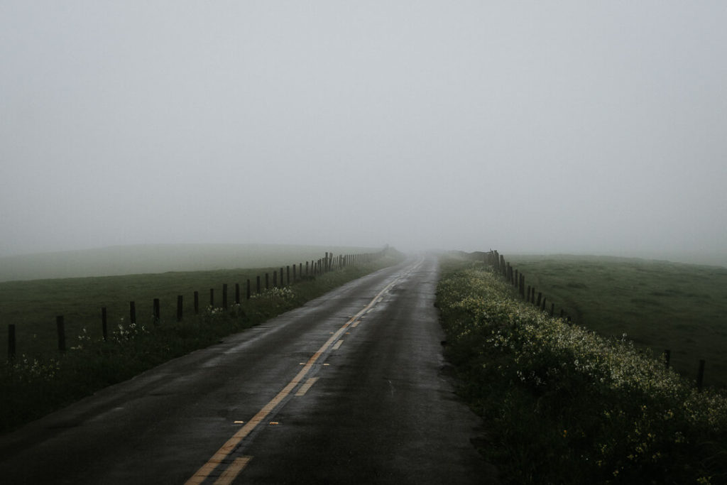 foggy road Point Reyes National Seashore California