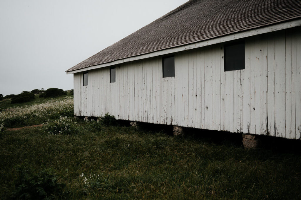  Old barn at Pierce Point Ranch