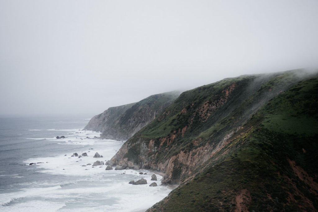 Cliffs at Tomales Point and the Tule Elk Reserve