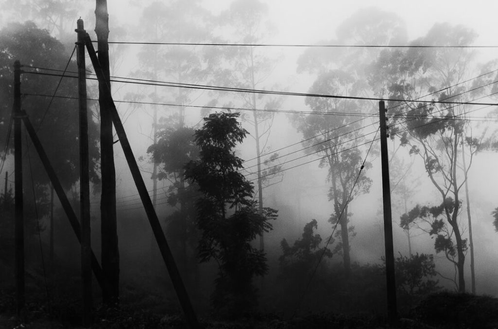 Sur La ombres et brouillards Route du Thé Nuwara Eliya Sri Lanka