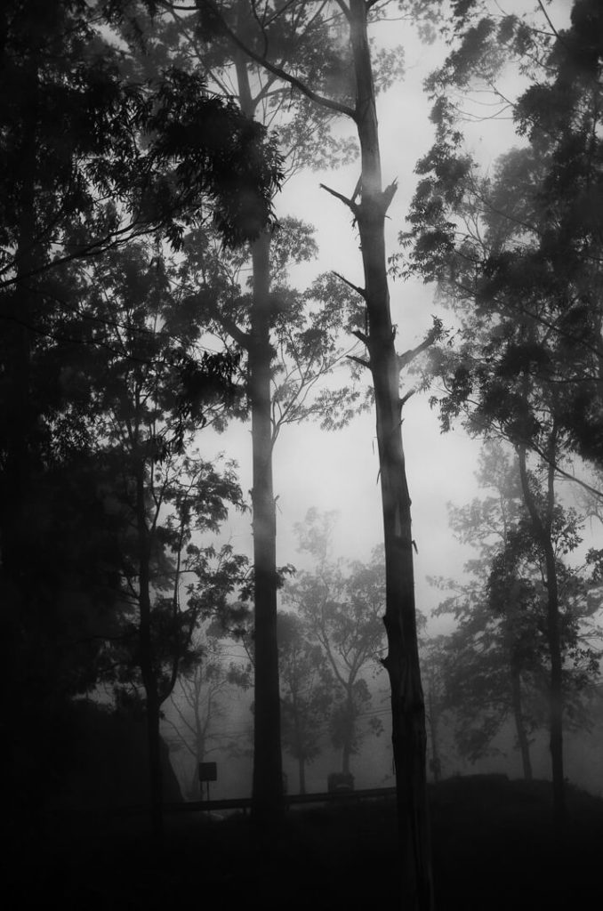 brumes route Nuwara Eliya Sri Lanka