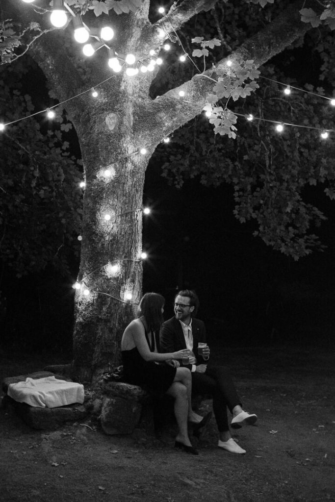 couple under the big tree wedding night