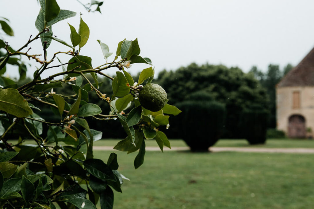 Lemon tree Wedding rainy day at Château de Sully