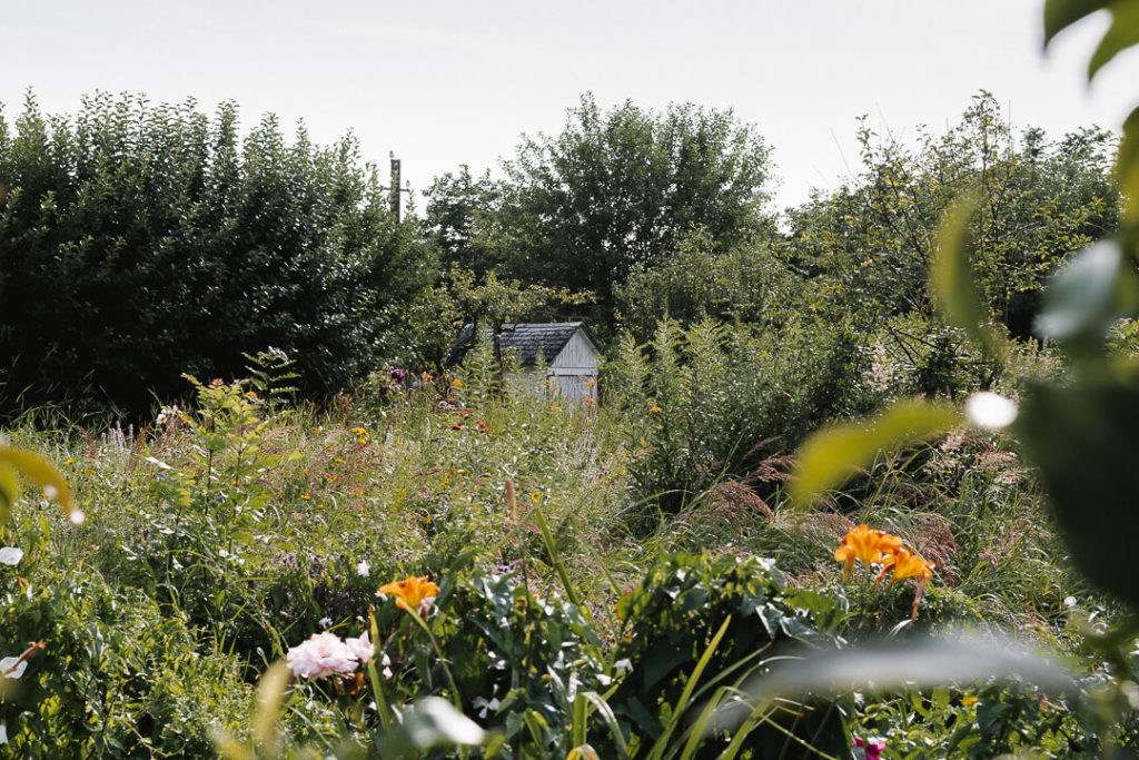 Jardin du Château de Sully
