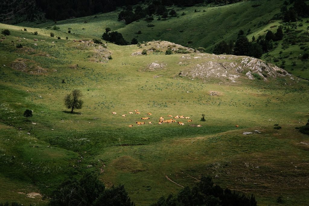 Spanish Pyrenees for Telegraph magazine Milie Del Photographer