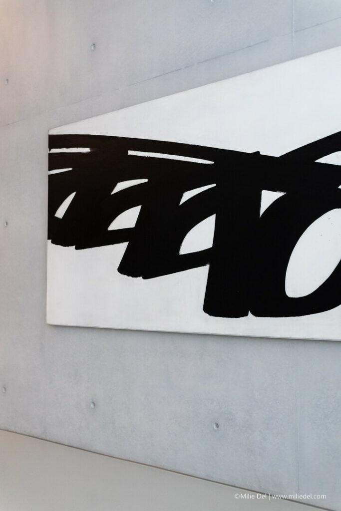 Musée Fabre Pierre Soulages tribute by photographer Milie Del