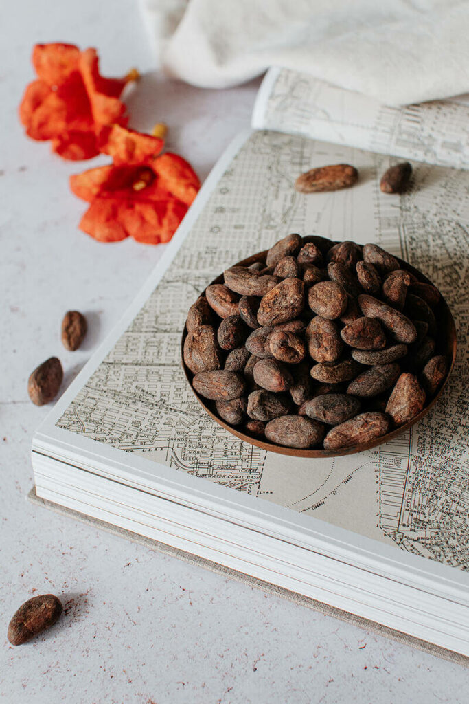 fèves de cacao Lucifèves d'Aubrac Milie Del food photographer South of France