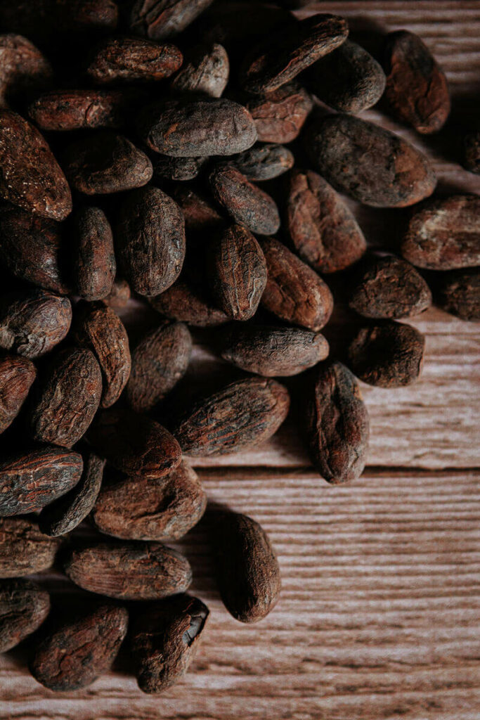 fèves de cacao bean to bar  Milie Del photographe culinaire montpellier France