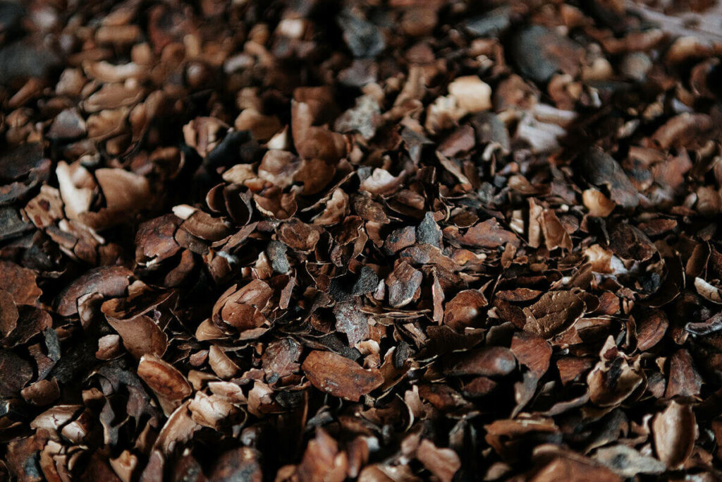 éclats de fèves de cacao bean to bar  Milie Del photographe culinaire montpellier France