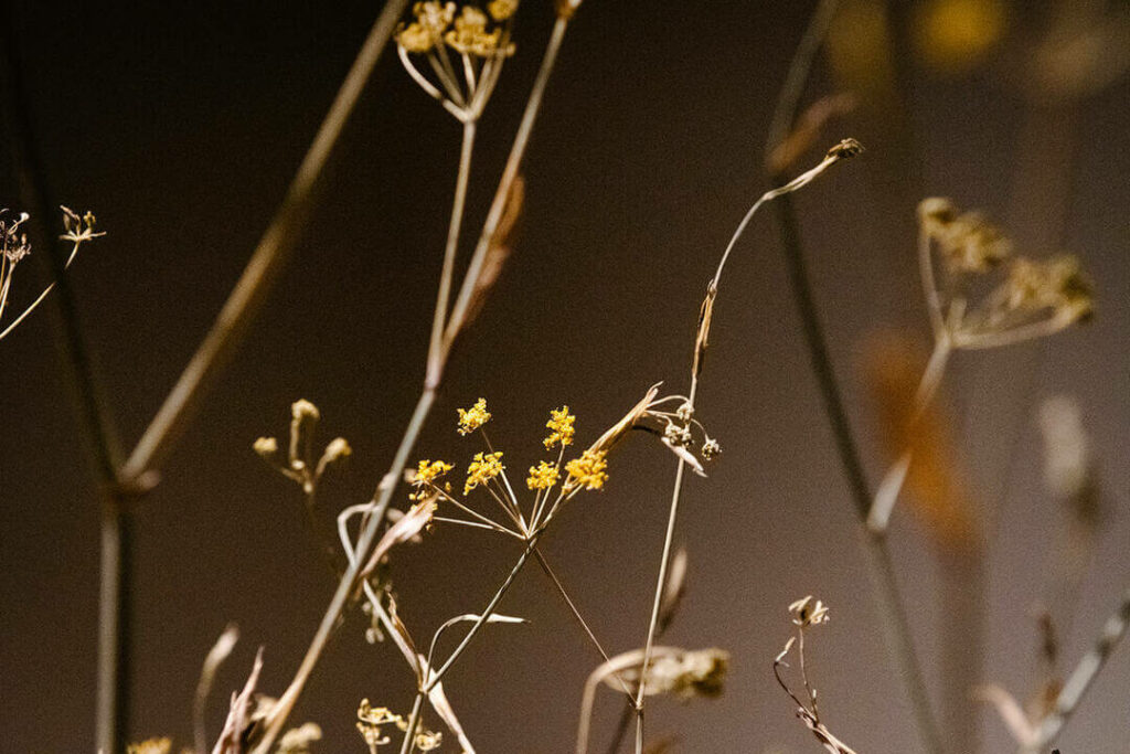 Reflet d'Obione one star guide Michelin in Montpellier by food photographer Milie Del