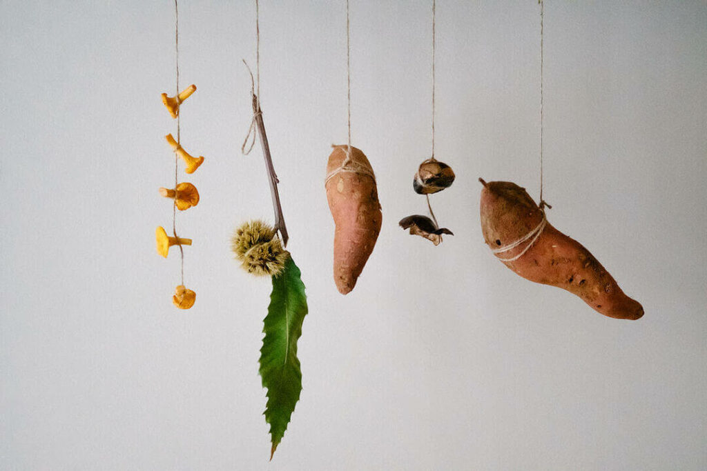 Boucherie végétale d'automne à Reflet d'Obione Photographie par Milie Del