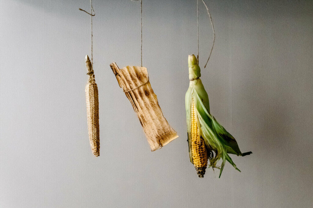 Boucherie végétale à Reflet d'Obione Photographie par Milie Del