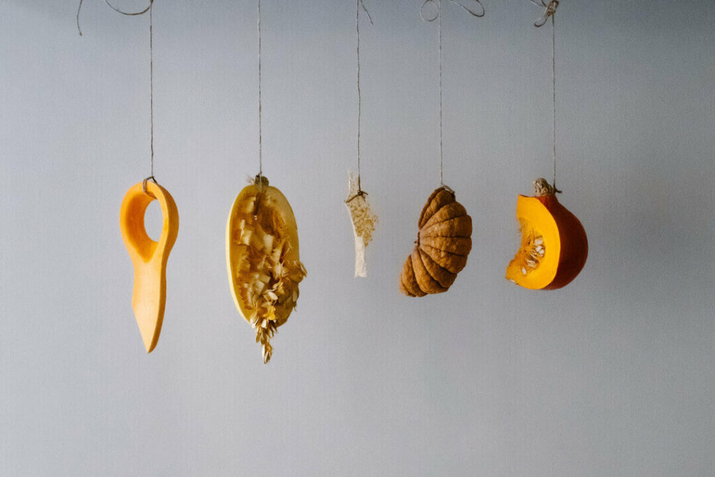 Boucherie végétale à Reflet d'Obione Photographie par Milie Del