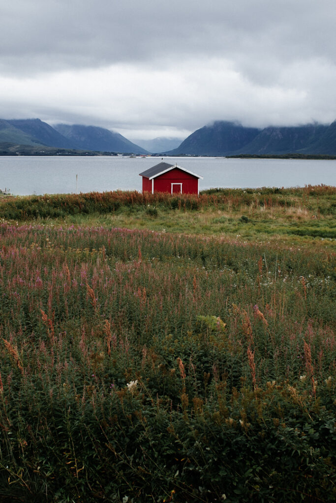 Red house in Vesteralen