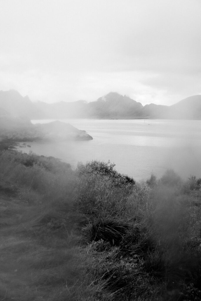 paysage embrumé depuis la fenêtre du van