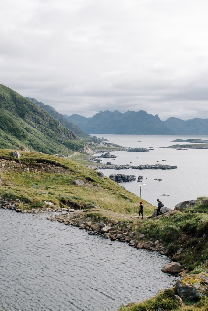 hikers in the trails