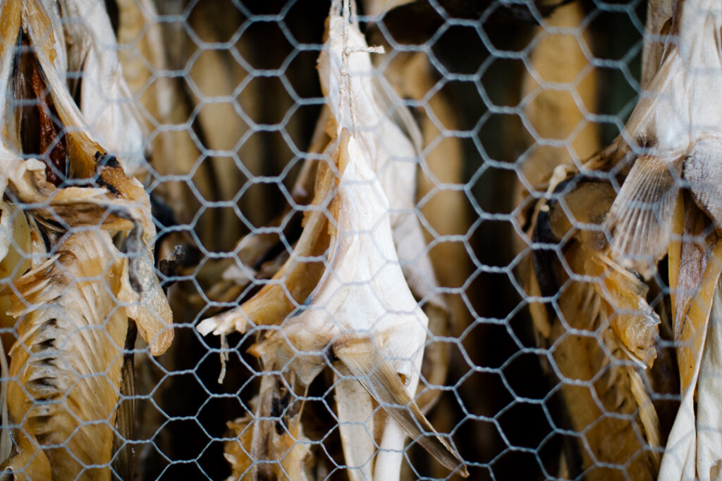Cod in Nyksund Fishing village 